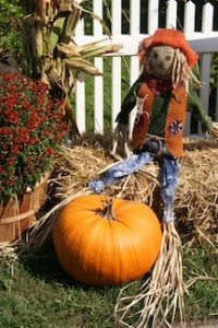 Huntsville scarecrow - Martinson & Beason, P.C.