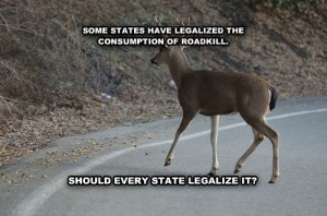 Roadkill Laws | Huntsville, AL Attorney | Martinson & Beason, P.C.