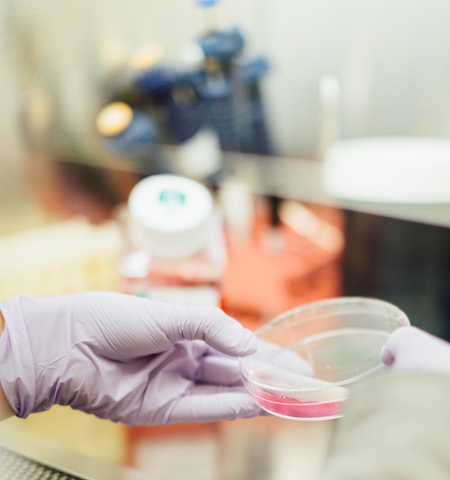 Scientist working in embryo lab in Huntsville AL